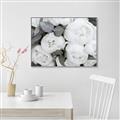 Picture of White Blooms _GroupedProduct_Rectangle_Landscape_Photography _GroupedProduct_Rectangle_Landscape_Canvas_Framed_