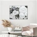Picture of White Blooms _GroupedProduct_Rectangle_Landscape_Photography _GroupedProduct_Rectangle_Landscape_Canvas_Framed_