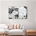Picture of White Blooms _GroupedProduct_Rectangle_Landscape_Photography _GroupedProduct_Rectangle_Landscape_Canvas_Framed_