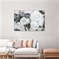 Picture of White Blooms _GroupedProduct_Rectangle_Landscape_Photography _GroupedProduct_Rectangle_Landscape_Canvas_Framed_