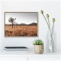 Picture of One Tree _GroupedProduct_Rectangle_Landscape_Photography _GroupedProduct_Rectangle_Landscape_Canvas_Framed_