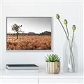 Picture of One Tree _GroupedProduct_Rectangle_Landscape_Photography _GroupedProduct_Rectangle_Landscape_Canvas_Framed_