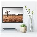 Picture of One Tree _GroupedProduct_Rectangle_Landscape_Photography _GroupedProduct_Rectangle_Landscape_Canvas_Framed_