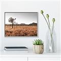 Picture of One Tree _GroupedProduct_Rectangle_Landscape_Photography _GroupedProduct_Rectangle_Landscape_Canvas_Framed_