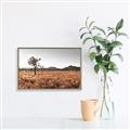 Picture of One Tree _GroupedProduct_Rectangle_Landscape_Photography _GroupedProduct_Rectangle_Landscape_Canvas_Framed_