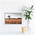 Picture of One Tree _GroupedProduct_Rectangle_Landscape_Photography _GroupedProduct_Rectangle_Landscape_Canvas_Framed_