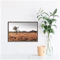 Picture of One Tree _GroupedProduct_Rectangle_Landscape_Photography _GroupedProduct_Rectangle_Landscape_Canvas_Framed_