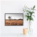 Picture of One Tree _GroupedProduct_Rectangle_Landscape_Photography _GroupedProduct_Rectangle_Landscape_Canvas_Framed_