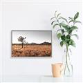 Picture of One Tree _GroupedProduct_Rectangle_Landscape_Photography _GroupedProduct_Rectangle_Landscape_Canvas_Framed_