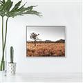 Picture of One Tree _GroupedProduct_Rectangle_Landscape_Photography _GroupedProduct_Rectangle_Landscape_Canvas_Framed_
