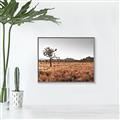 Picture of One Tree _GroupedProduct_Rectangle_Landscape_Photography _GroupedProduct_Rectangle_Landscape_Canvas_Framed_