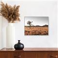 Picture of One Tree _GroupedProduct_Rectangle_Landscape_Photography _GroupedProduct_Rectangle_Landscape_Canvas_Framed_