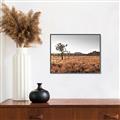 Picture of One Tree _GroupedProduct_Rectangle_Landscape_Photography _GroupedProduct_Rectangle_Landscape_Canvas_Framed_