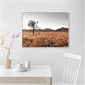 Picture of One Tree _GroupedProduct_Rectangle_Landscape_Photography _GroupedProduct_Rectangle_Landscape_Canvas_Framed_