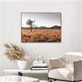 Picture of One Tree _GroupedProduct_Rectangle_Landscape_Photography _GroupedProduct_Rectangle_Landscape_Canvas_Framed_