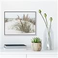 Picture of Sand Dunes _GroupedProduct_Rectangle_Landscape_Photography _GroupedProduct_Rectangle_Landscape_Canvas_Framed_
