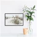 Picture of Sand Dunes _GroupedProduct_Rectangle_Landscape_Photography _GroupedProduct_Rectangle_Landscape_Canvas_Framed_