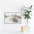Picture of Sand Dunes _GroupedProduct_Rectangle_Landscape_Photography _GroupedProduct_Rectangle_Landscape_Canvas_Framed_