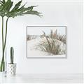 Picture of Sand Dunes _GroupedProduct_Rectangle_Landscape_Photography _GroupedProduct_Rectangle_Landscape_Canvas_Framed_