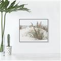 Picture of Sand Dunes _GroupedProduct_Rectangle_Landscape_Photography _GroupedProduct_Rectangle_Landscape_Canvas_Framed_