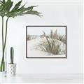Picture of Sand Dunes _GroupedProduct_Rectangle_Landscape_Photography _GroupedProduct_Rectangle_Landscape_Canvas_Framed_