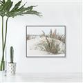 Picture of Sand Dunes _GroupedProduct_Rectangle_Landscape_Photography _GroupedProduct_Rectangle_Landscape_Canvas_Framed_
