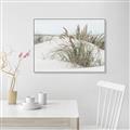 Picture of Sand Dunes _GroupedProduct_Rectangle_Landscape_Photography _GroupedProduct_Rectangle_Landscape_Canvas_Framed_