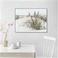 Picture of Sand Dunes _GroupedProduct_Rectangle_Landscape_Photography _GroupedProduct_Rectangle_Landscape_Canvas_Framed_