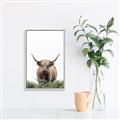 Picture of Cow on the Range _GroupedProduct_Rectangle_Portrait_Photography _GroupedProduct_Rectangle_Portrait_Canvas_Framed_
