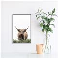 Picture of Cow on the Range _GroupedProduct_Rectangle_Portrait_Photography _GroupedProduct_Rectangle_Portrait_Canvas_Framed_