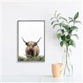Picture of Cow on the Range _GroupedProduct_Rectangle_Portrait_Photography _GroupedProduct_Rectangle_Portrait_Canvas_Framed_