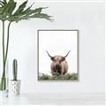 Picture of Cow on the Range _GroupedProduct_Rectangle_Portrait_Photography _GroupedProduct_Rectangle_Portrait_Canvas_Framed_