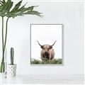 Picture of Cow on the Range _GroupedProduct_Rectangle_Portrait_Photography _GroupedProduct_Rectangle_Portrait_Canvas_Framed_