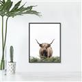 Picture of Cow on the Range _GroupedProduct_Rectangle_Portrait_Photography _GroupedProduct_Rectangle_Portrait_Canvas_Framed_