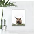 Picture of Cow on the Range _GroupedProduct_Rectangle_Portrait_Photography _GroupedProduct_Rectangle_Portrait_Canvas_Framed_