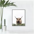 Picture of Cow on the Range _GroupedProduct_Rectangle_Portrait_Photography _GroupedProduct_Rectangle_Portrait_Canvas_Framed_