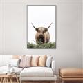 Picture of Cow on the Range _GroupedProduct_Rectangle_Portrait_Photography _GroupedProduct_Rectangle_Portrait_Canvas_Framed_