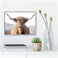 Picture of Shaggy Bull II _GroupedProduct_Rectangle_Landscape_Photography _GroupedProduct_Rectangle_Landscape_Canvas_Framed_