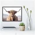 Picture of Shaggy Bull II _GroupedProduct_Rectangle_Landscape_Photography _GroupedProduct_Rectangle_Landscape_Canvas_Framed_