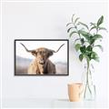 Picture of Shaggy Bull II _GroupedProduct_Rectangle_Landscape_Photography _GroupedProduct_Rectangle_Landscape_Canvas_Framed_