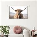 Picture of Shaggy Bull II _GroupedProduct_Rectangle_Landscape_Photography _GroupedProduct_Rectangle_Landscape_Canvas_Framed_