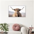 Picture of Shaggy Bull II _GroupedProduct_Rectangle_Landscape_Photography _GroupedProduct_Rectangle_Landscape_Canvas_Framed_