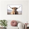 Picture of Shaggy Bull II _GroupedProduct_Rectangle_Landscape_Photography _GroupedProduct_Rectangle_Landscape_Canvas_Framed_