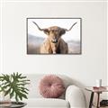 Picture of Shaggy Bull II _GroupedProduct_Rectangle_Landscape_Photography _GroupedProduct_Rectangle_Landscape_Canvas_Framed_