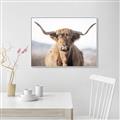 Picture of Shaggy Bull II _GroupedProduct_Rectangle_Landscape_Photography _GroupedProduct_Rectangle_Landscape_Canvas_Framed_