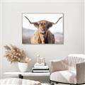 Picture of Shaggy Bull II _GroupedProduct_Rectangle_Landscape_Photography _GroupedProduct_Rectangle_Landscape_Canvas_Framed_