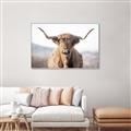 Picture of Shaggy Bull II _GroupedProduct_Rectangle_Landscape_Photography _GroupedProduct_Rectangle_Landscape_Canvas_Framed_