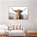Picture of Shaggy Bull II _GroupedProduct_Rectangle_Landscape_Photography _GroupedProduct_Rectangle_Landscape_Canvas_Framed_