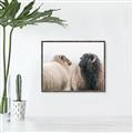 Picture of Good Talk _GroupedProduct_Rectangle_Landscape_Photography _GroupedProduct_Rectangle_Landscape_Canvas_Framed_