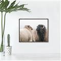 Picture of Good Talk _GroupedProduct_Rectangle_Landscape_Photography _GroupedProduct_Rectangle_Landscape_Canvas_Framed_
